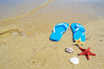 Fototapeta na wymiar flip flops and starfish by the sea
