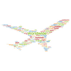 Vector conceptual travel or tourism plane word cloud