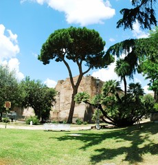Fototapeta na wymiar View of Rome city on June 1, 2014