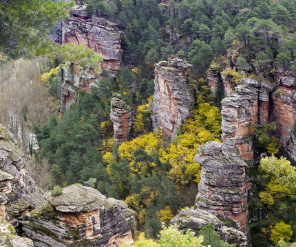 Ca&ntilde;&oacute;n del rio Gallo