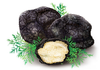 Mushroom black truffle