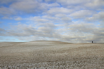 Field in a winter.