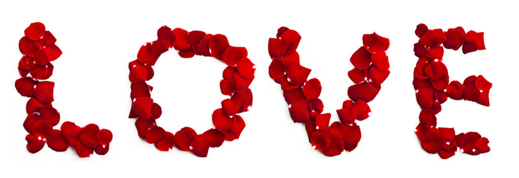 Love inscription isolated on white background