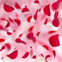 Valentine's Day background