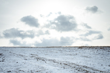 winter field scene