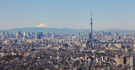 Naklejka premium Tokyo city view with Tokyo skytree and mountain fuji