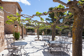 Empty outdoor cafe under mulberry trees