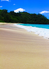 Panorama Summertime Dream