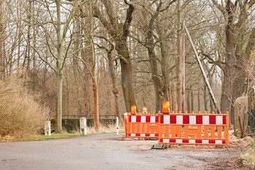 Orange Absperrbaken aus Kunststoff vor blätterlosen Bäumen
