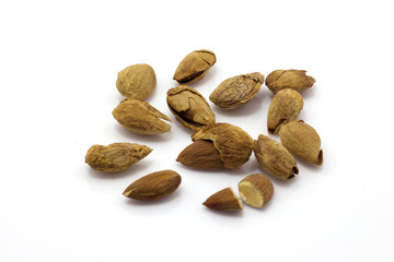 Almond on white background