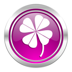 four-leaf clover violet icon