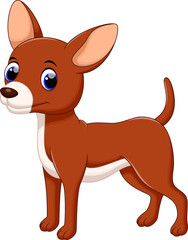Cute chihuahua dog cartoon