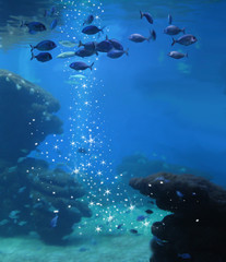 Fototapeta na wymiar Aquarium with school of fish and magic stars