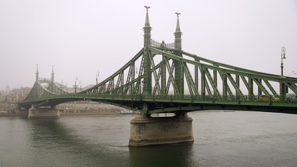 Fototapeta na wymiar Freedom Bridge in Budapest, Hungary (misty morning)