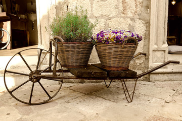 Fototapeta na wymiar old wheelbarrow with baskets of flowers