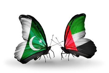 Two butterflies with flags Pakistan and UAE