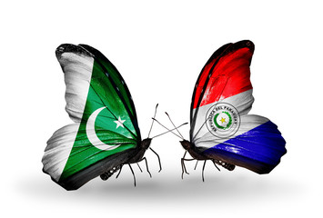 Two butterflies with flags Pakistan and Paraguay