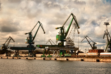 Cranes at the Gdynia harbor. Cloudy day. Poland. - obrazy, fototapety, plakaty