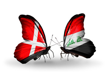 Two butterflies with flags Denmark and  Iraq
