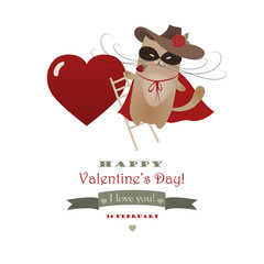 Funny cat Zorro Valentine