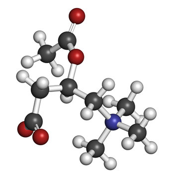 Acetylcarnitine (ALCAR) Nutritional Supplement Molecule. 