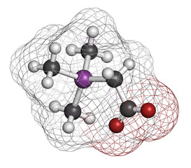 Arsenobetaine organoarsenic molecule. 
