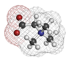 Betaine (glycine betaine, trimethylglycine) molecule. 