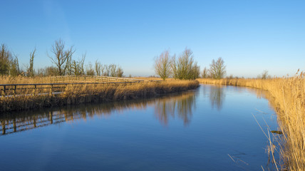 The shore of a lake under a blue sky in winter
