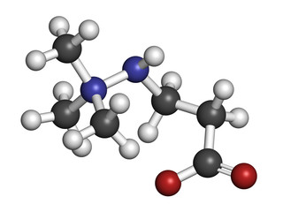 Meldonium anti-ischemic drug molecule. 