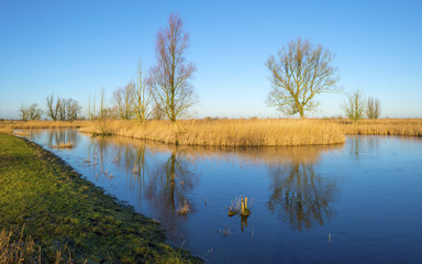 Obraz premium The shore of a lake under a blue sky in winter