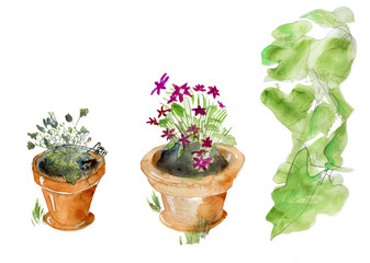 Isolated garden pots, original watercolor sketch.