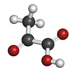 Pyruvic acid (pyruvate) molecule.