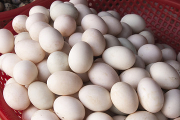 White eggs