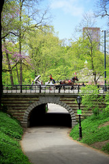 セントラルパークの馬車