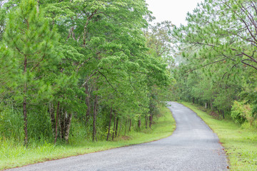 Road