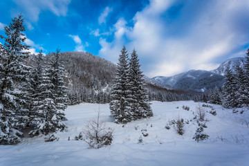 Fototapeta na wymiar View of snow-covered mountains in winter