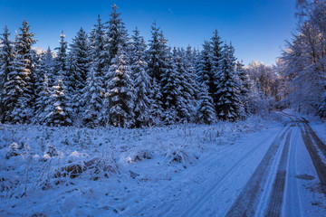 Fototapeta premium Winter snowy forest at sunset in winter