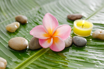 Obraz na płótnie Canvas Set of frangipani and stones, candle on wet banana leaf