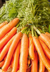 Carrots