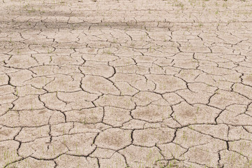 crack on dry soil background