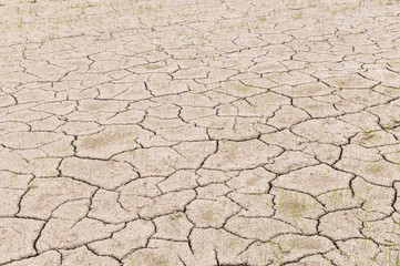crack on dry soil background