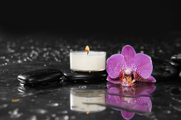 Macro of orchid with white candle on wet background