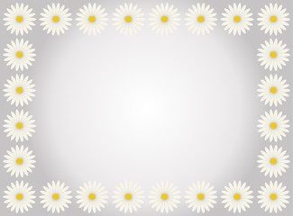 A flower frame with white daisies in gray background