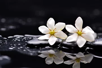  Two gardenia flower on wet black pebbles © Mee Ting