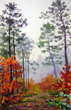 Autumn forest.