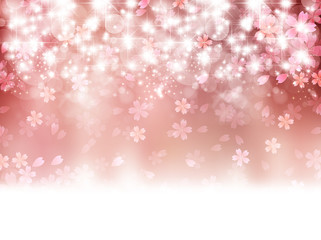 桜　花　背景