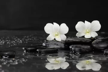 Keuken spatwand met foto Witte orchidee twee op natte stenen reflectie © Mee Ting
