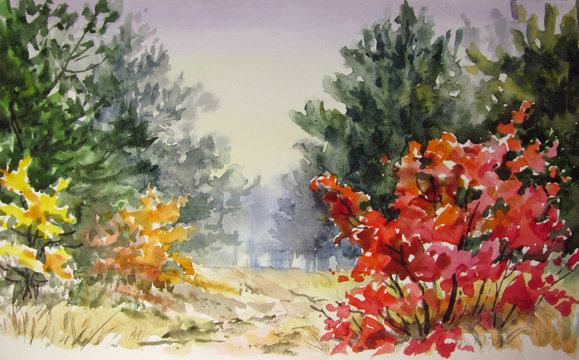 Autumn forest.