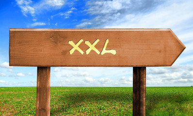 Strassenschild 30 - XXL