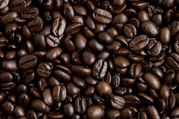 Fototapeta premium コーヒー豆